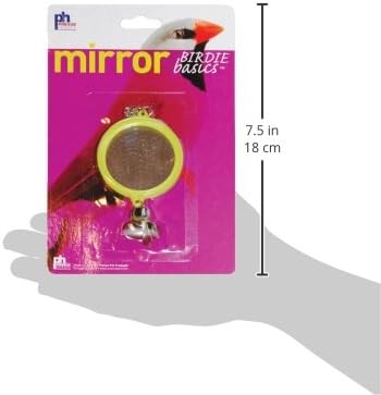 Prevue Hendryx Birdie Basics 2 Sided Round Mirror Bird Toy, Blue, One Size