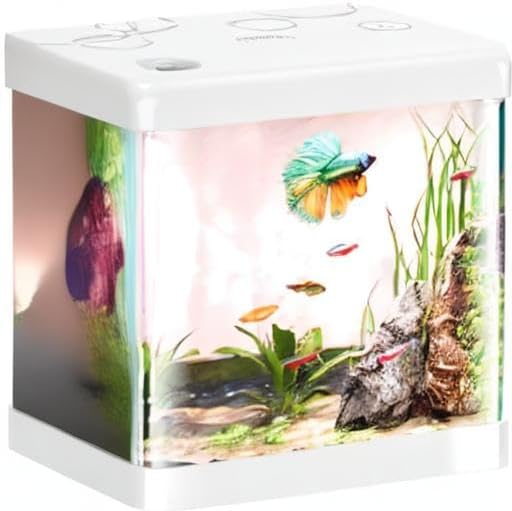 Small Fish Tank,5 Gallon Glass Aquarium Betta Fish Tank Starter Kit with Filter and LED Light.(White)