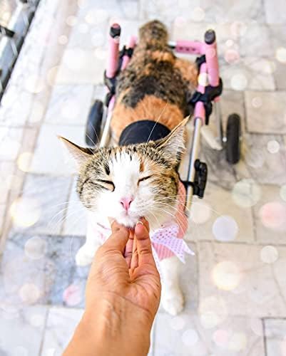 Walkin' Wheels Lightweight – for Small Cats 2 to 20 Pounds – Veterinarian Approved – Cat Wheelchair for Back Legs, for Cats 11-20 lbs, 7-8 inches Leg Height – Pink