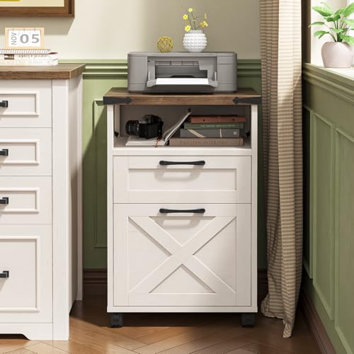Office Filing Vertical Cabinet with 2 Drawers