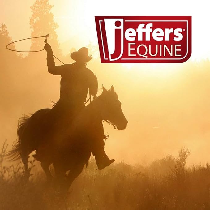 Jeffers Equine Menthol Cooling Horse Shampoo 16 oz - 100% Pure Australian Menthol, Coconut Oil, Aloe & Vitamin E - Moisturizing, Deep Cleansing, Gentle Grooming Shampoo for Horses