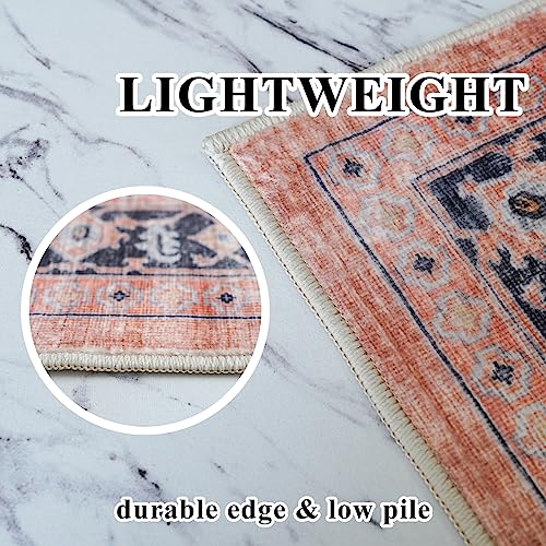 Washable 2x3 Small Area Rug (6 Sq Ft)