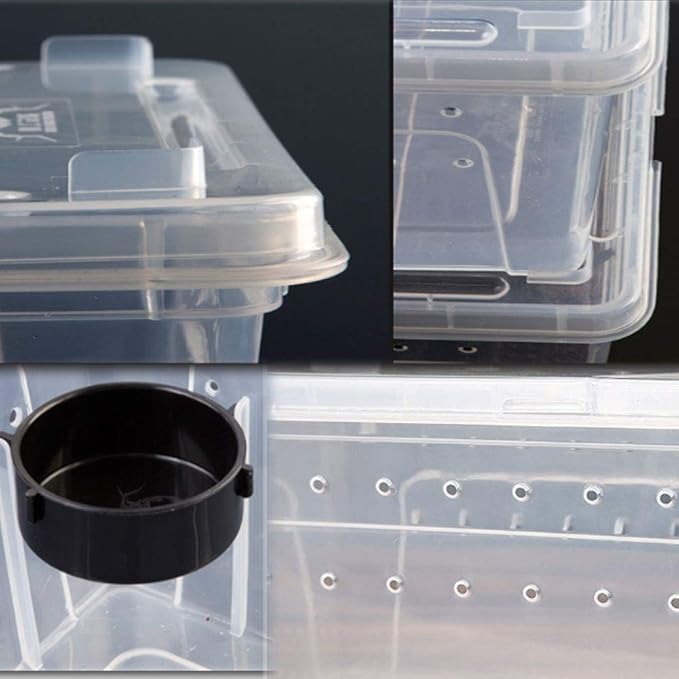 2 PCS Reptile Feeding Box Lizard Tarantula Habitat Cage Hatching Container Snake Breeding Box Transparent Portable Plastic Mini Pet Houses for Scorpion Spider Frog