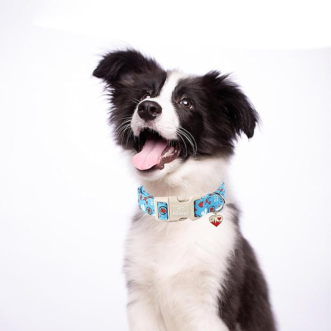 Valentines Dog Collar, Blue Heart Dog Collar, Cute Loving Heart Printed Collar with Quick Release Plastic Buckle for Boys&Girls Dogs, Large