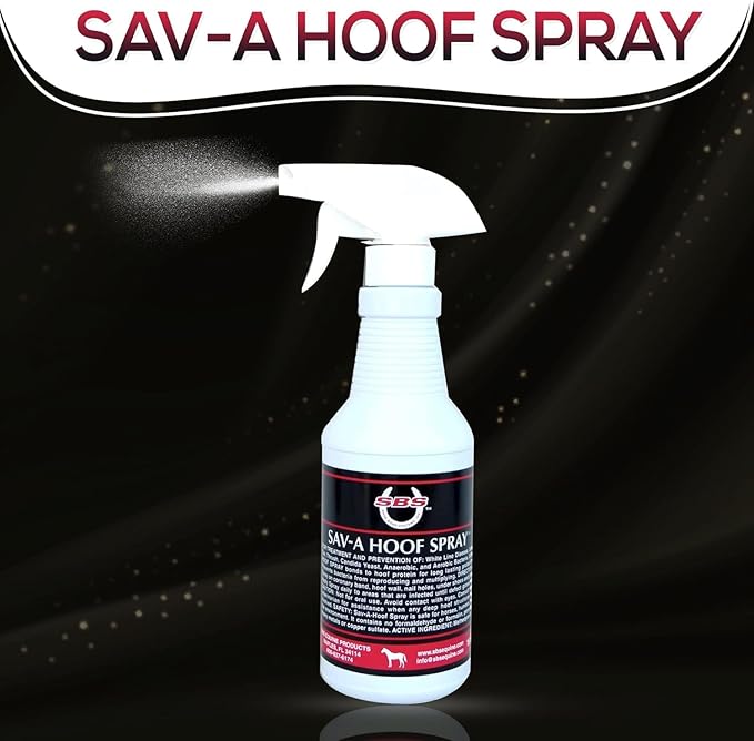 SBS Equine Spray | Hoof Treatment Provides Antiseptic Barrier Against Infection | Fights Hoof iIlness | Long-Lasting (16 Fluid Oz Spray)