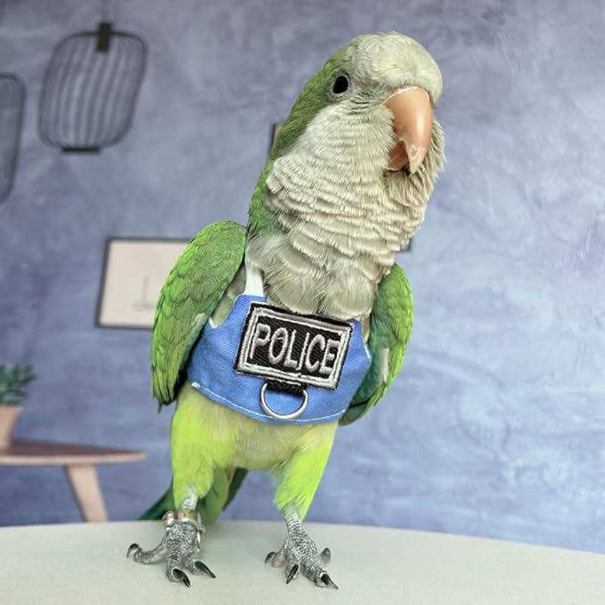 Bird Flight Harness Vest, Parrot Flight Suit with Leash, Bird Flying Clothes with Rope and Handle for Outdoor Activities (with Leash,Sun Conure)