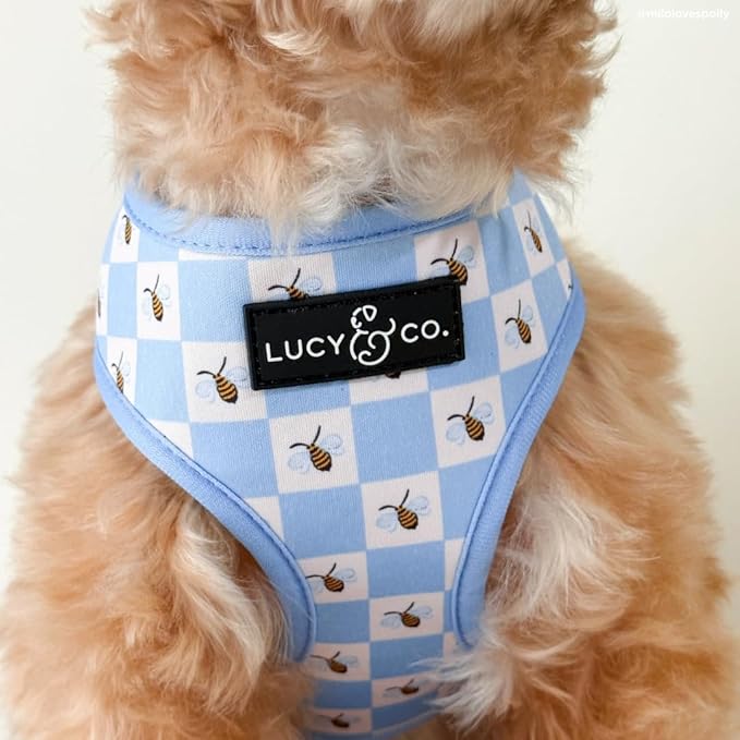 Lucy & Co. Bumbling Around Reversible Dog Harness, Adjustable Comfort Fit with Dual Leash Attachments, Large