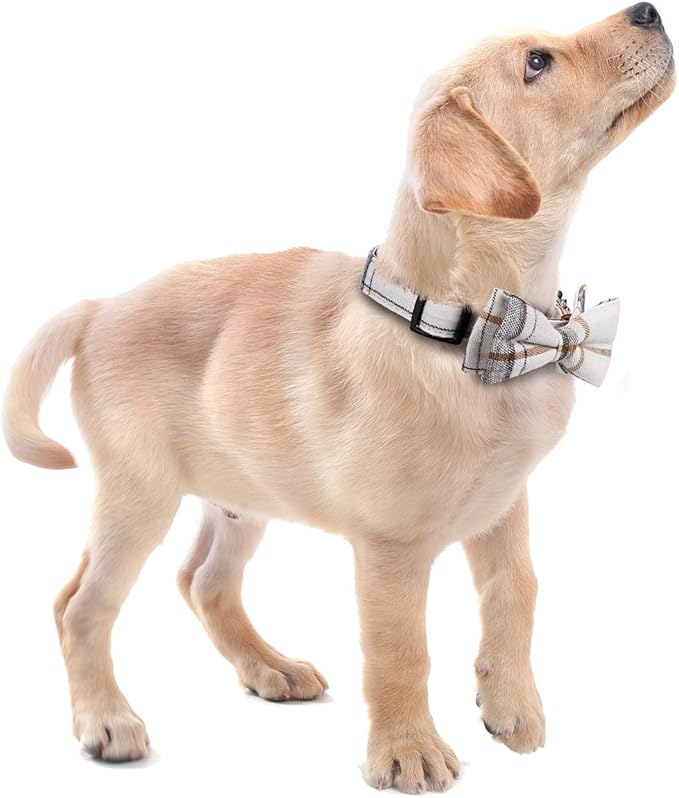 Faleela Soft &Comfy Bowtie Dog Collar,Detachable and Adjustable Bow Tie Collar,for Small Medium Large Pet (L, Beige)