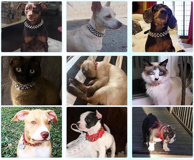 Spiked Dog Collar Soft Pu Leather Mushrooms Rivet Spike Studded Puppy Adjustable Pet Collars for Small Breeds (M, White)