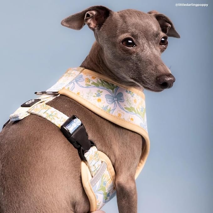 Lucy & Co. Sunshine and Daffodils Reversible Dog Harness, Adjustable Comfort Fit with Dual Leash Attachments, Large
