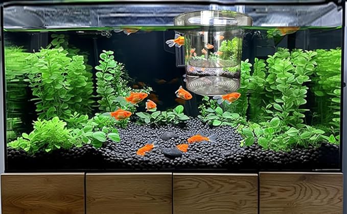 WEAVERBIRD Aquarium Breeder Box, Fish Breeding Box, Acrylic Breeder Isolation Divider Hatching Boxes, Floating Incubation Box, Round Isolation Hatchery Feeding Boxes for Small Fish Fry Hatchery
