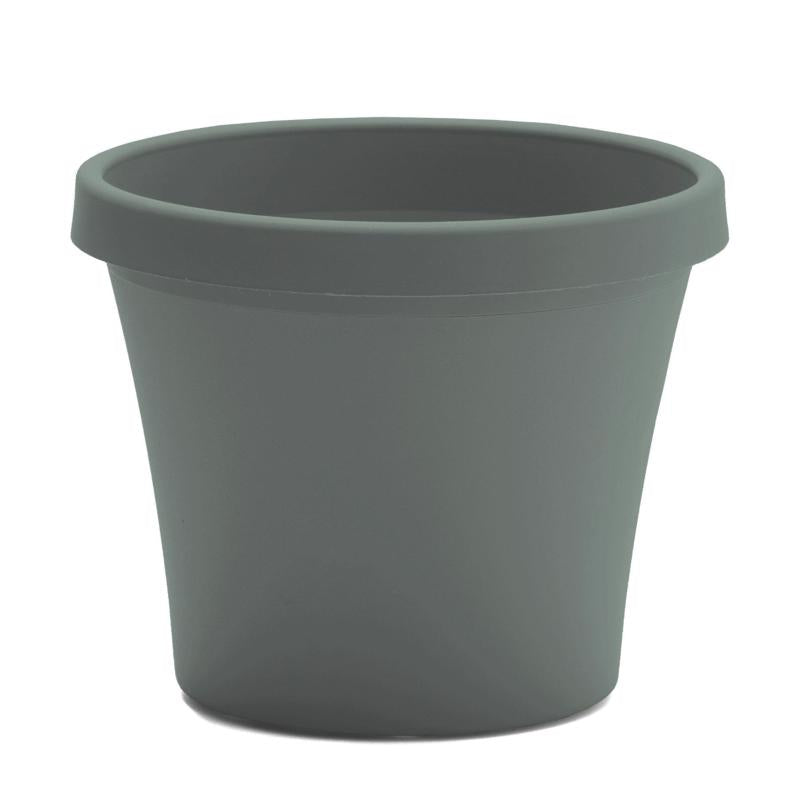 Bloem Terra 14.25 in. H X 17.25 in. W X 11.75 in. D Plastic Traditional Planter Basil TR1641