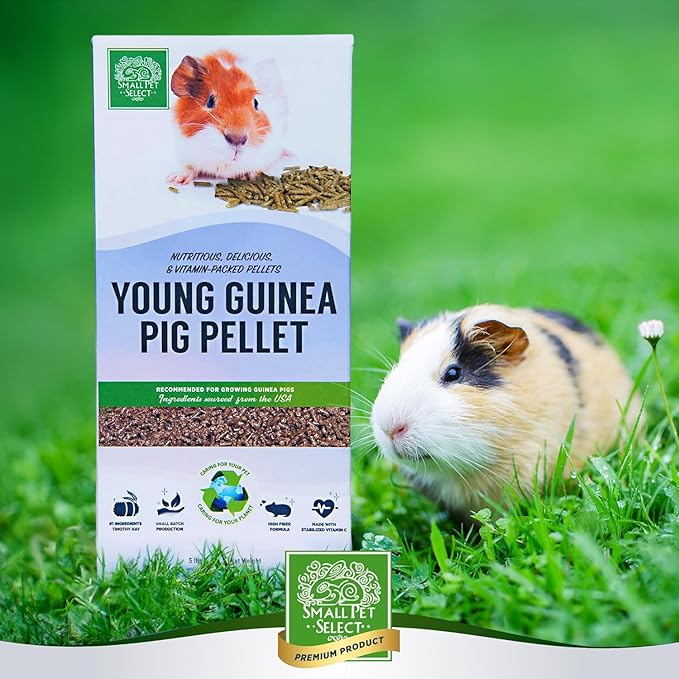 Small Pet Select - Young Guinea Pig Pellet Food, 5lb