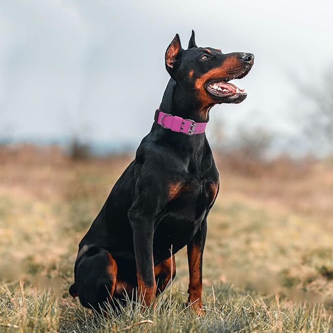 Tactical Dog Collar with Handle, Military Adjustable Heavy Duty Metal Buckle Dog Collars Soft Nylon Training Collar for Medium Large Dogs (Pink, Large)