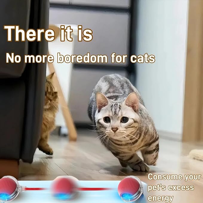 Interactive Cat Toys for Indoor Cats, Agility Move Cat Balls,Motion Activated Cat Balls, Cat Toys for Bored Indoor Cats(Red)