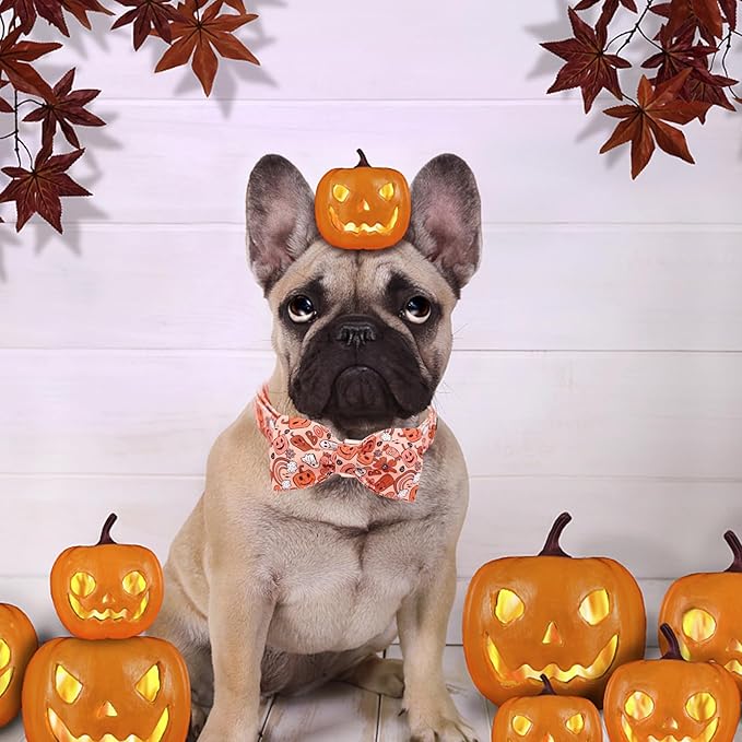 Halloween Dog Collar, Pet Collar Bow Pumpkin Pet Collar Girl Boy Holiday Pet Collars Gift Bow Dog Collar Cute Soft Puppy Collar for X-Large Dogs