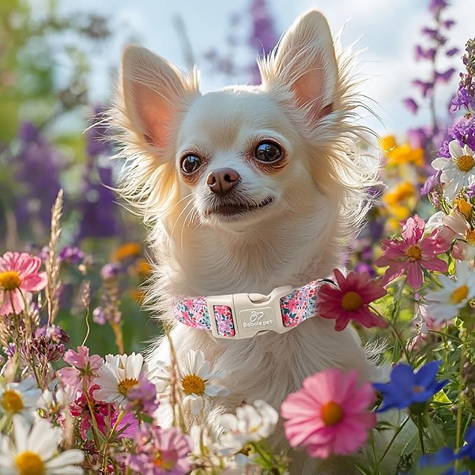 Floral Dog Collar, Cute Girl Dog Collars - Pastel Wildflowers Pattern Spring Summer Puppy Collar, Adjustable Female Dog Collars for Small Medium Large Dogs XS