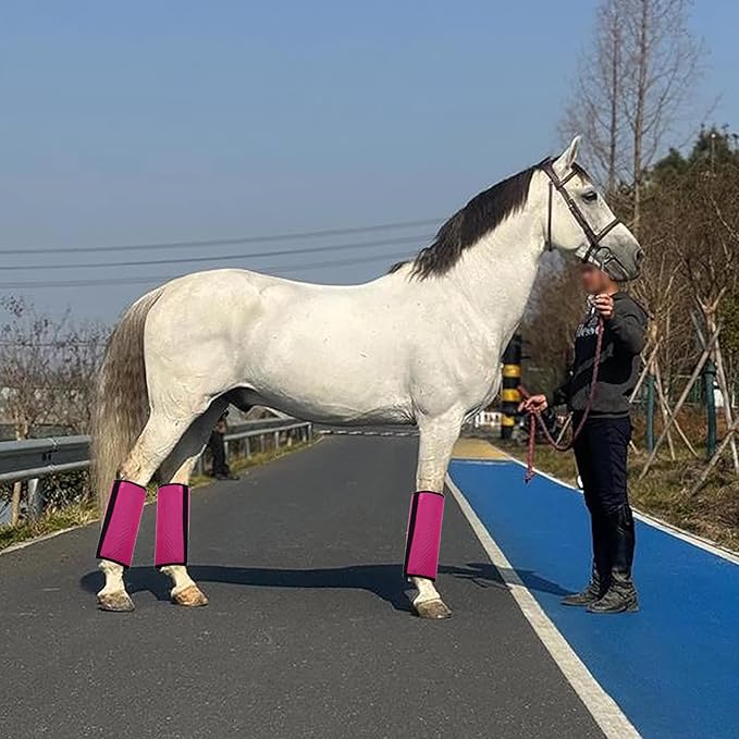 4 Pack Mesh Fly Boots for Horse - Horse Leggings for Fly Bites Protection - Breathable & Secure Fit - C