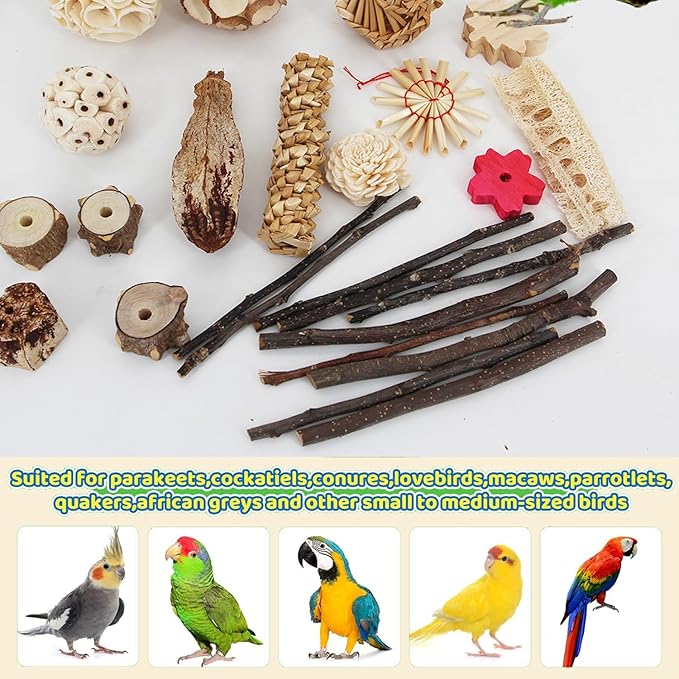 Natural Bird Parrot Toys,Interactive Chewing Foraging cage Toys for Parakeets,Cockatiels,Conures,Lovebird Budgie Small-Medium Birds