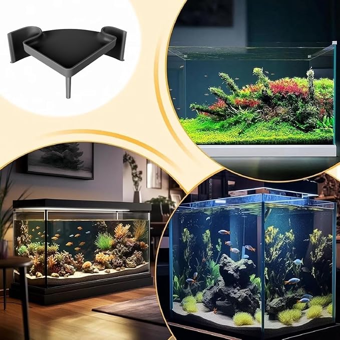Aquarium Cave Hideout with Viewing Window β Corner Fish Tank Tunnel for Pleco, Cory Catfish, Kuhli Loach, Shrimp & Betta β 2 Hole Plastic Breeding Shelter for Bottom Dwellers (6"x6"x2.5")
