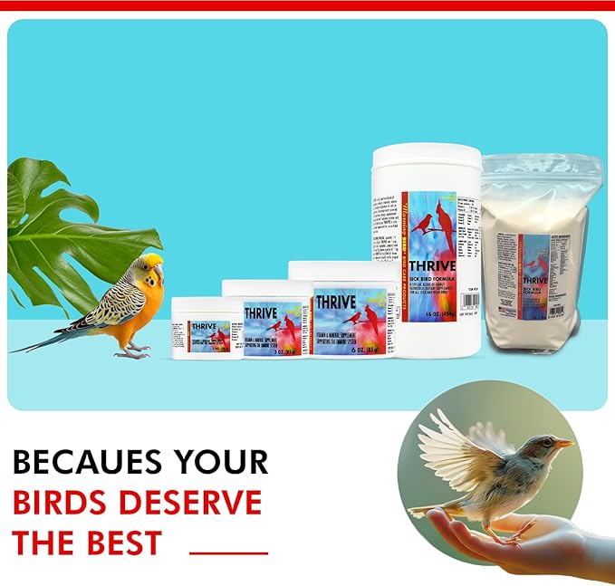 Morning Bird Thrive 1 Oz - Multi-Vitamin Bird Supplement Designed for Immune and Recovery Support - Formulated for Sick or Injured Birds - Protein Supplement and Energy Booster for All Adult Birds