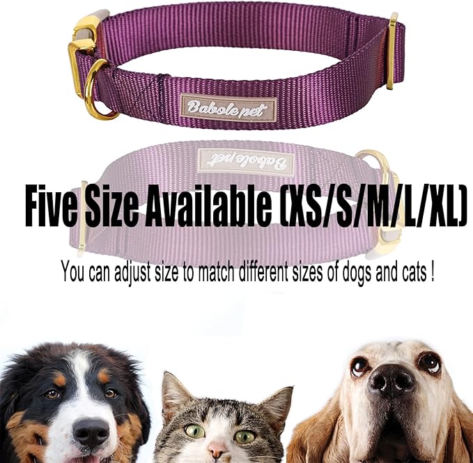 Nylon Dog Collar - Adjustable Deep Purple Soft Webbing Dog Collars for Small Medium Large Dogs Boy Girl Puppy Collar with Safety Metal Buckle S