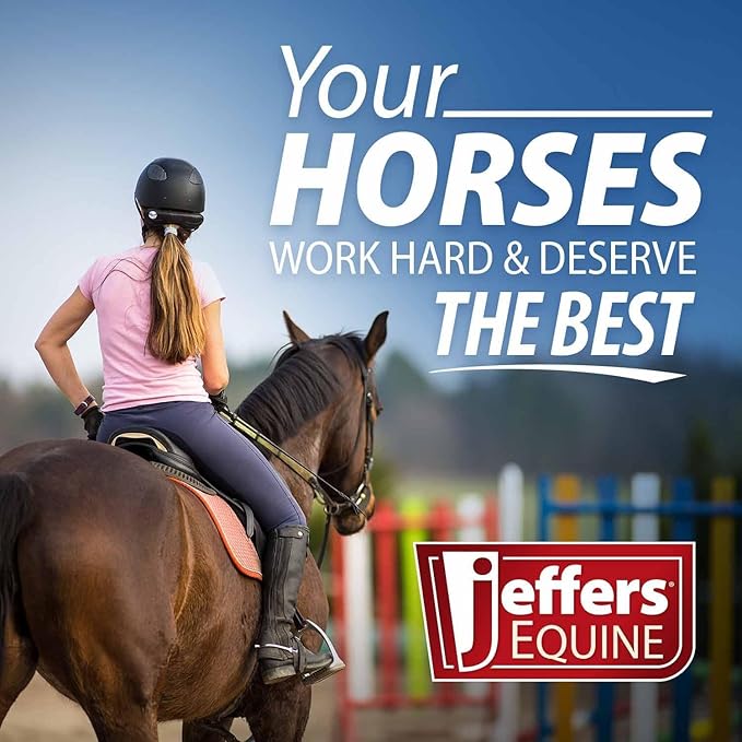Jeffers Horse Fleece Polo Wraps 4 Pack and Equine Health Record 1 Pack Kit – Leg Wrap Accessories for Training Riding Turnout Stable, Hoof Care Tracker, Equestrian Horse Supplies - Royal Blue