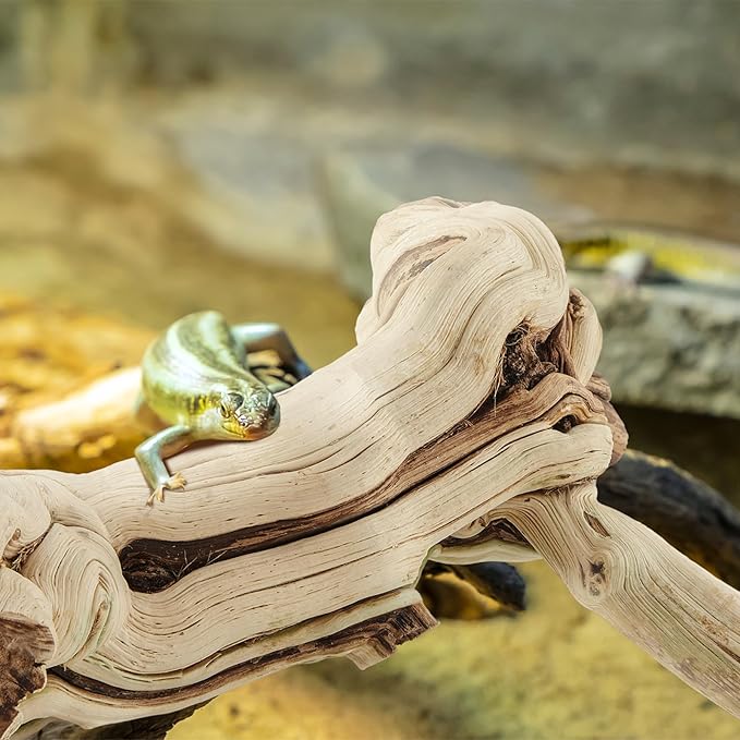 Janinka 10-12" Length Large Wood Reptile Branch for Bearded Dragon Driftwood Reptile Climbing Habitat Decoration for Terrarium Tree Trunk Ornament Gecko Frog Chameleon Spider