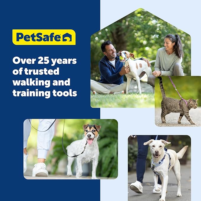 PetSafe KeepSafe Collar for Dogs - Protects Against Collar Accidents - Long Lasting - Durable - Adjustable - Breakaway - Outdoor-Safe - Large - 1 In. Wide - Red