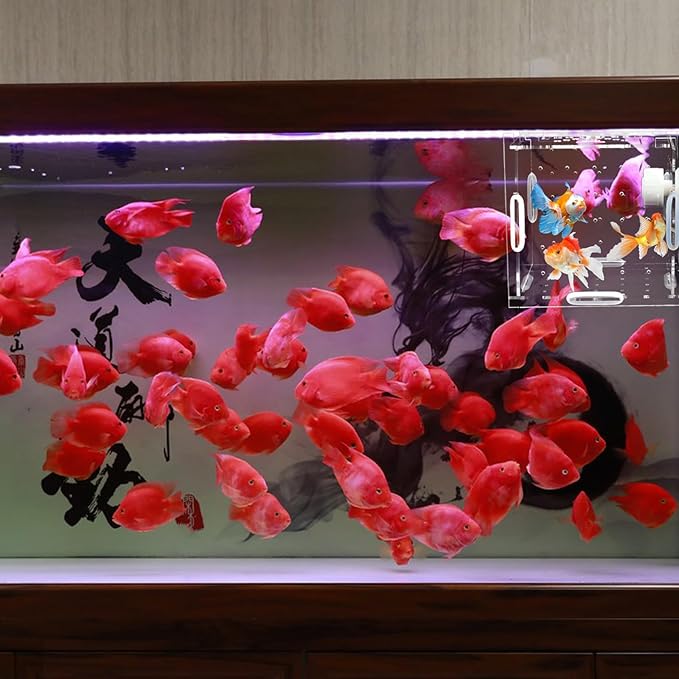 Acrylic Fish breeding Box, Transparent Fish Isolation Box, Fish Separation Box for Aquarium, Hatchery Incubator with Suction for Shrimp Guppy Clownfish Small Fish (3.9 x 3.9 x 3.9Inch)