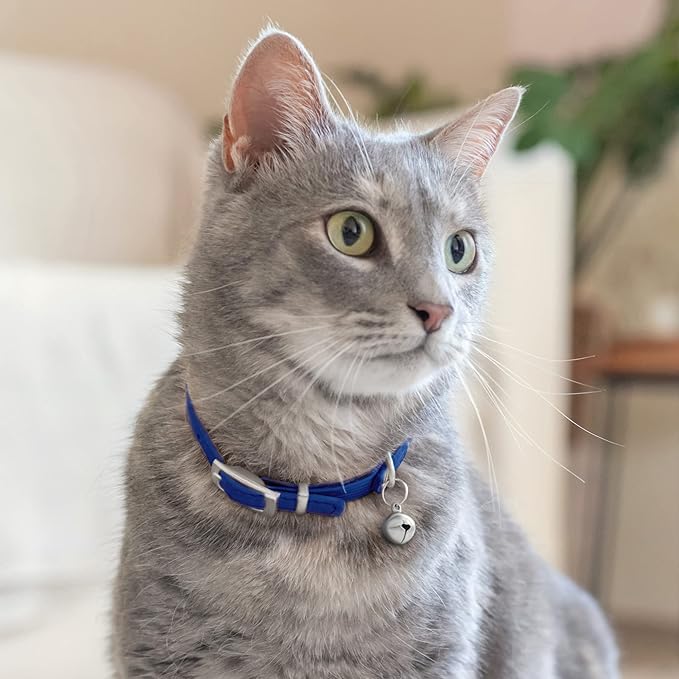 CollarDirect Leather Cat Collar with Bell - Kitten Collar, Small and Big Cat Collar for Boy Cats, Girl Cats with Safety Elastic Strap (Neck Fit 6"-7", Navy Blue)