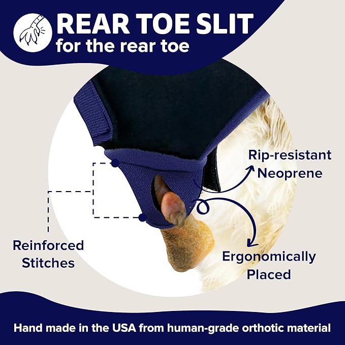 Duck Shoes for Injured Feet – Protective Neoprene Footwear for Ducks, Protective Shoes for Birds with Injured feet, Bumblefoot Relief - Medium, 3.5” Max. Inside Width - Navy