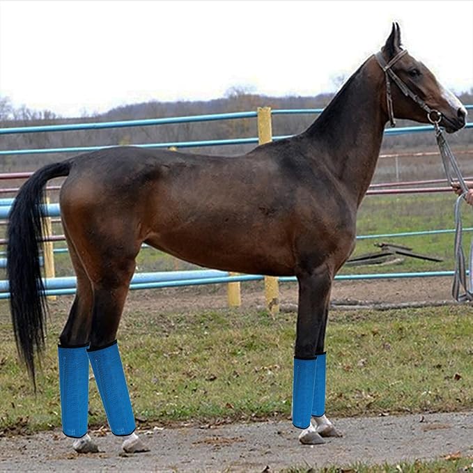 4 Pack Mesh Fly Boots for Horse - Blue - All Seasons - Solid - Drawstring Closure - Breathable - Protects from Flies - Set of 4