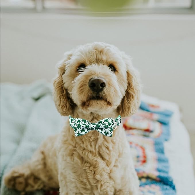MR. CHUBBYFACE St.Patrick's Day Dog Collar Green Clovers Adjustable Dog Collar Bow Tie for Small Medium Large Dogs
