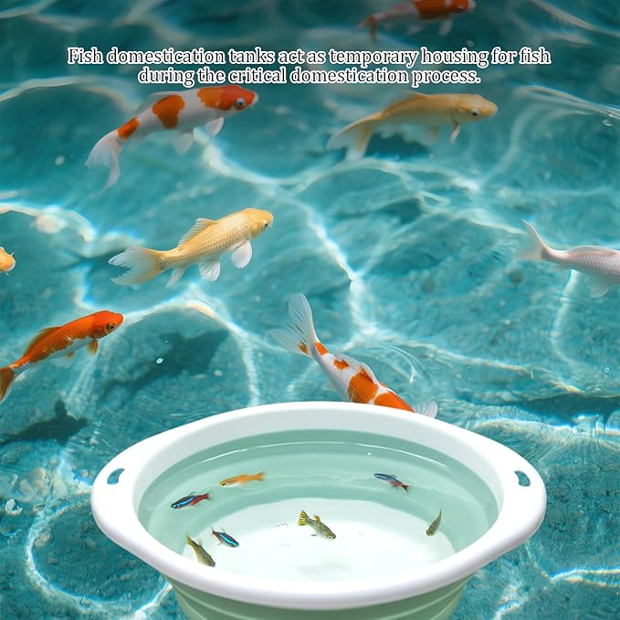 Drip Acclimation Kit with Foldable Fish Acclimation Box, Hose System for Safe Fish/Shrimp Water Transition, Works with Saltwater & Freshwater Tank Setups, Shrimp & Betta Fishes Breeding Box