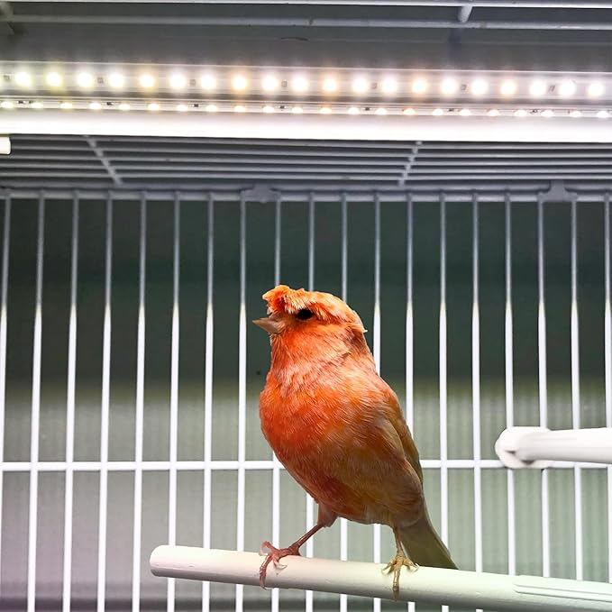 HappyBird Lighting Bird Cage Light - Full Spectrum LED Pet Light - Simulates Natural Environment - Safe for Soft Bill Birds – Easy to Install - (18" Long)