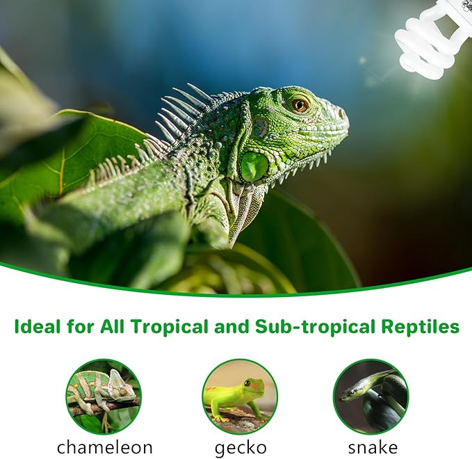 LUCKY HERP UVA UVB Reptile Light 5.0, Tropical UVB 100 Compact Fluorescent Lamp, UVB Light for Reptiles 15W, UVA UVB Reptile Light Bulb, UVB Bulb for Reptiles Chameleons Lizards Tortoises Snakes