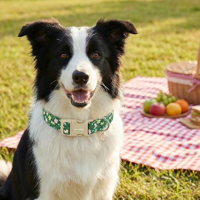 St. Patrick's Day Dog Collar,Green Clover Lucky Shamrock Puppy Collar,Adjustable Spring Cotton Collars Gifts for Small Medium Large Dogs,Dog Accessories M