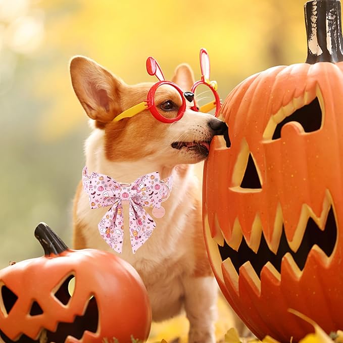 Halloween Dog Collar with Flower, Pink, XS