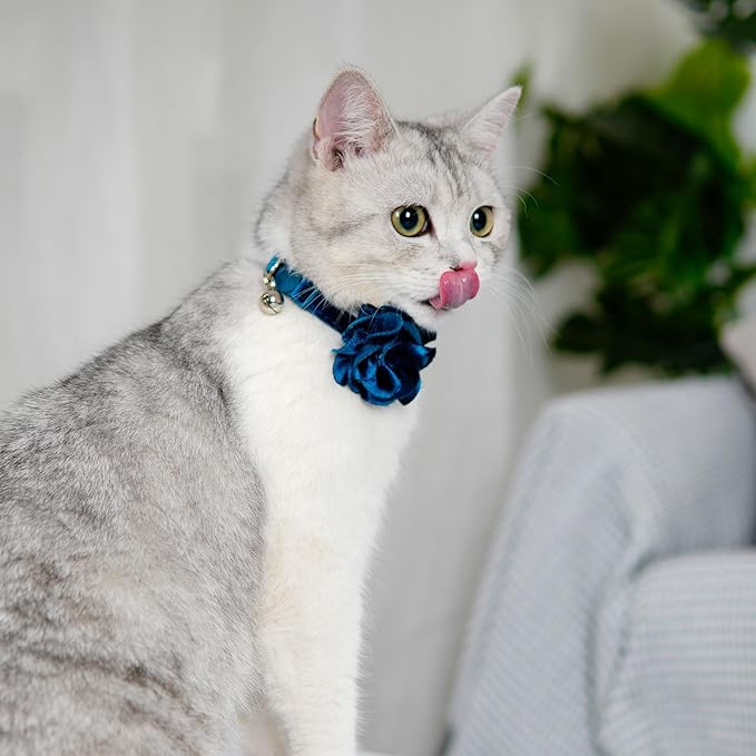 azuza 2 Pack Cat Collar Floral with Bell and Removable Flower Bowtie Breakaway Adjustable Velvet Fabric Cat Collar for Pets and Daily Decoration,Blue & Royal Blue