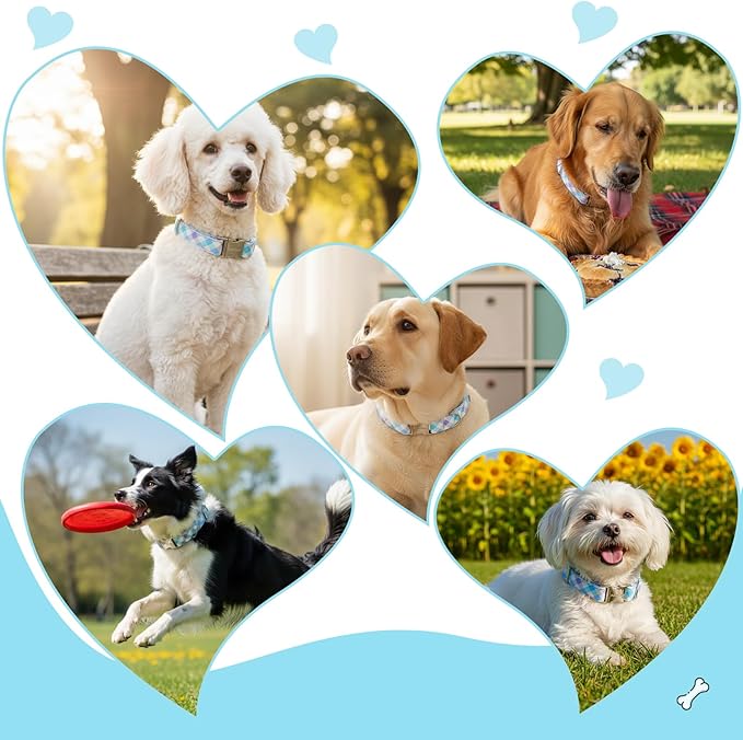 Cotton Collar for Dog,Soft Adjustable Dog Collars for Medium Dogs, Cute Dog Collar with Blue & White Plaid for Small Medium Large Dogs, Perfect for Girl or Boy Dog Collars-M