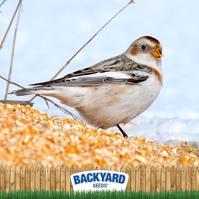 CountryMax Cracked Corn for Birds, Turkeys, Wildlife, Chickens (50 Pounds)
