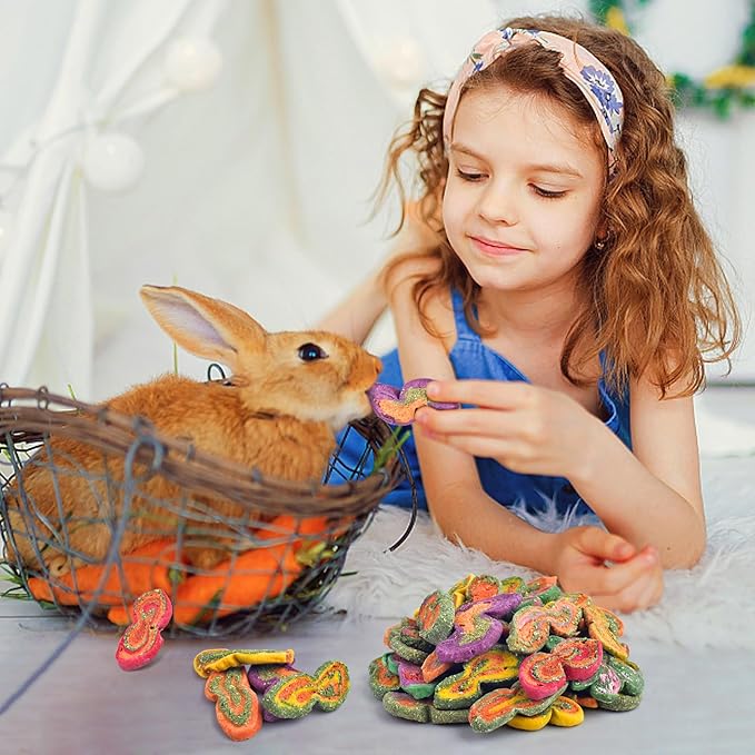 KATUMO Rabbit Chew Treats - 450g Mixed Natural Timothy Hay Pumpkin Carrot Beet Chew Toys for Rabbit Guinea Pig Hamster Bunny Chinchilla Gerbil Small Rodent Pets