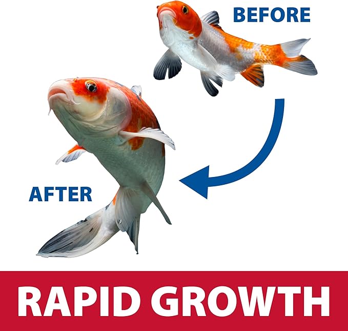The Pond Guy Growth & Vibrance Fish Food for Show Quality Koi & Goldfish, Premium Protein Floating Pellets for Balanced Nutrition, 12 lbs