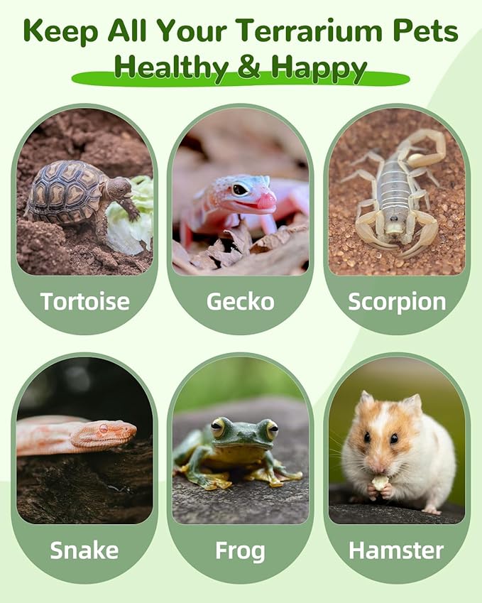 Pawfly 4 Pcs Reptile Water Bowl, Tortoise Water Dish, Food & Water Feeder, Cute Leaf & Mango Feeding Dish, Tortoise Habitat Accessories for Turtle, Gecko, Bearded Dragon & Lizard, 2 Styles