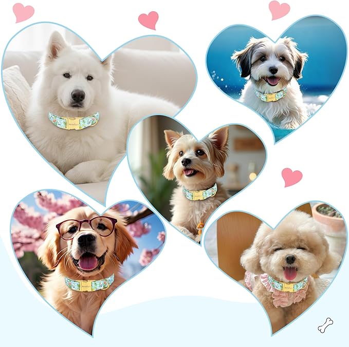 Easter Dog Collar for Medium Dogs, Easter & Spring Theme Medium Dog Collar with Cute White Bunny Pattern, Adjustable Blue Easter Dog Collars Girl Boy Collar for Dogs -M