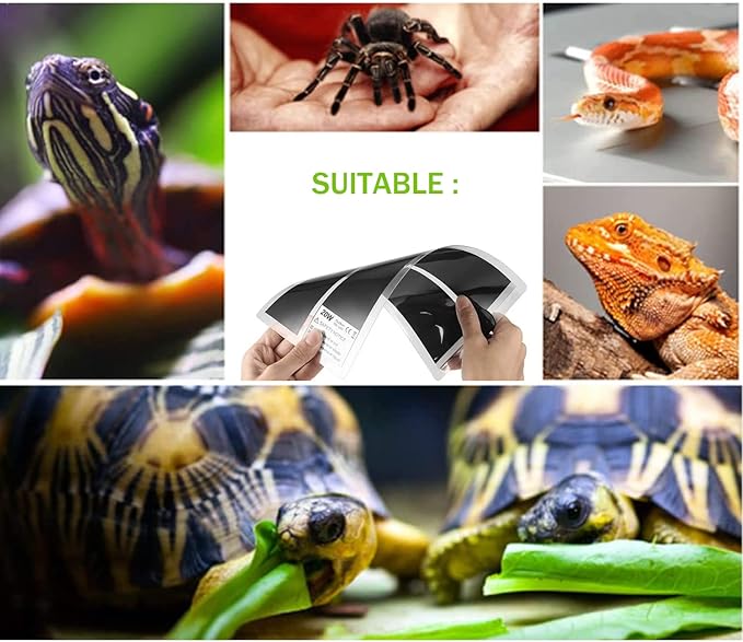 Reptile Heating Mat with Temperature Adjustment, Waterproof Reptile Heat Pad Under Tank Terrarium Heater for Amphibians, Small Animals, Seeding (20W - 16.5 x 11 in)