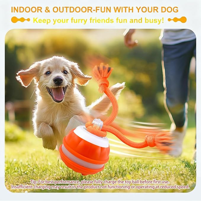 Interactive Dog Toys,Peppy Pet Ball for Dogs,Motion Activate Rolling Ball for Puppy/Medium Dogs,Active Rolling Dog Bal l Wicked Bal l for Daily Training, Dog Toys to Keep Them Busy (Blue)