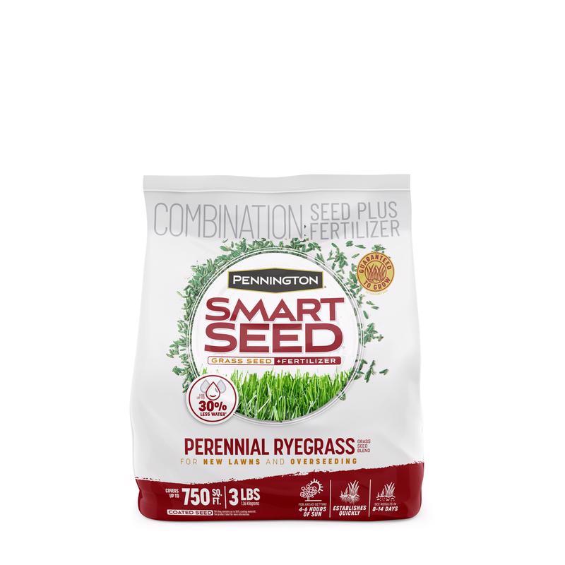 Pennington Smart Seed Perennial Ryegrass Sun or Shade Grass Seed and Fertilizer 3 lb 100543717