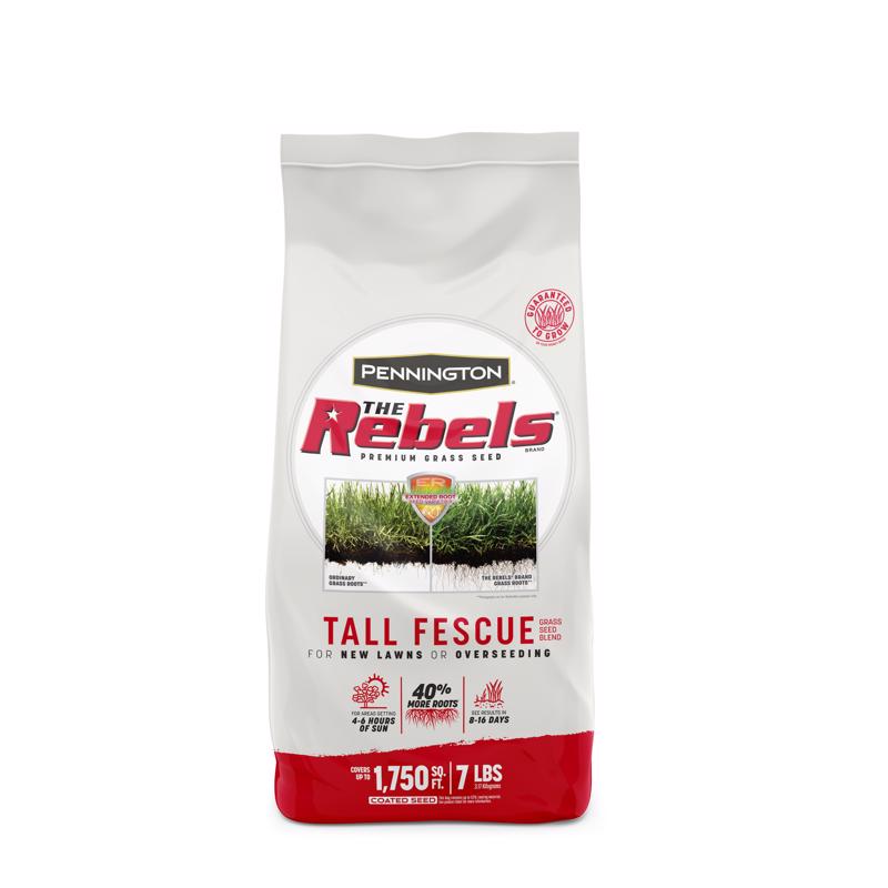 Pennington The Rebels Tall Fescue Grass Sun or Shade Grass Seed 7 lb 100543729